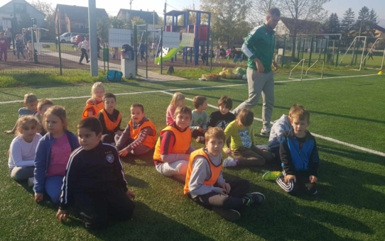 Bozsik program