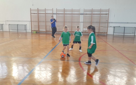 Bozsik Program
