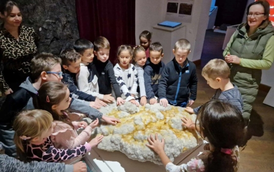 Természettudományokkal kapcsolatos múzeumlátogatás_Mátra Múzeum, Gyöngyös_1.évfolyam