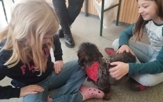 Állatorvosi látogatás egy állatbarát iskolában