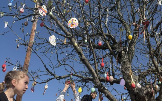 A tojásfa már tavaszi pompájában várja a Húsvétot