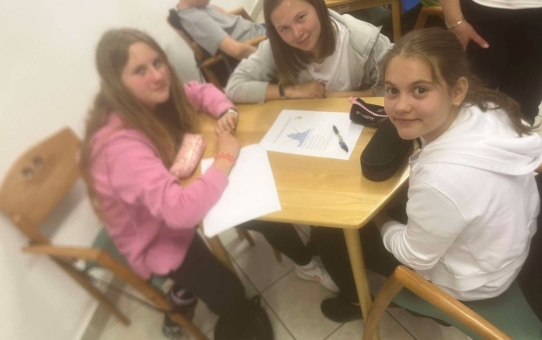 Megyei környezetismereti csapatverseny
